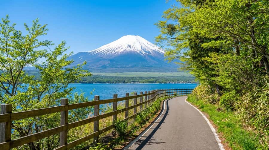 Tokyo: Full-Day Tour of the Six Majestic Spots of Mt Fuji - Six useful things to know before you go