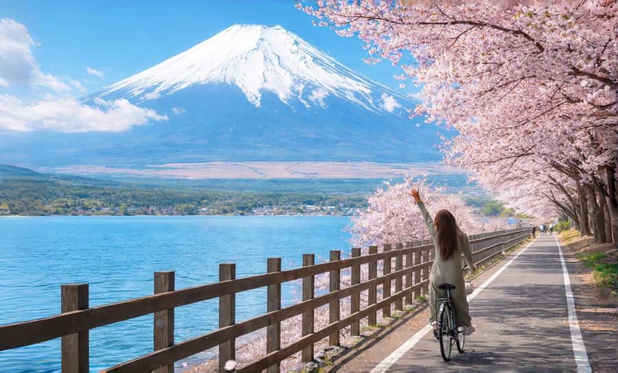 Tokyo: Full-Day Tour of the Six Majestic Spots of Mt Fuji - The straight road to Higashikawa Clock Shop