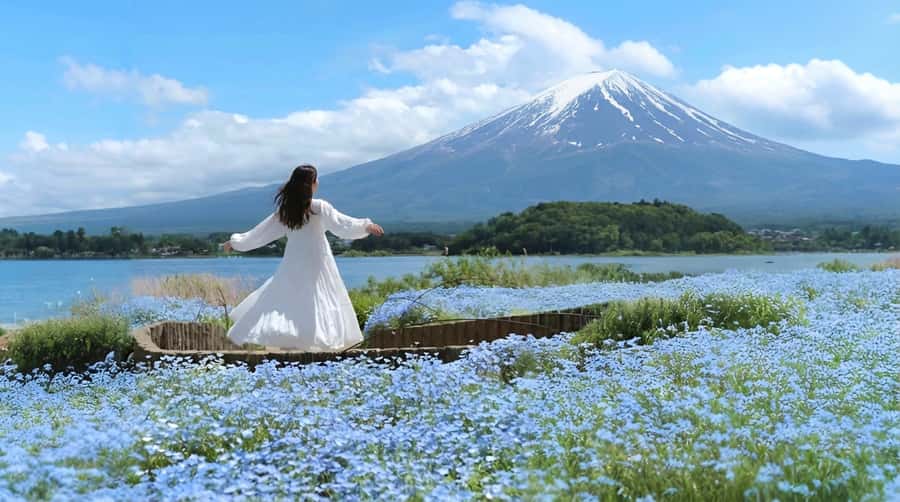 Tokyo: Full-Day Tour of the Six Majestic Spots of Mt Fuji - Oishi Park and the changing flower calendar