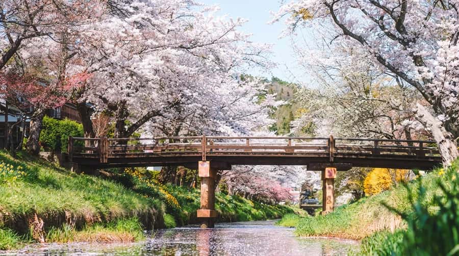 Tokyo: Full-Day Tour of the Six Majestic Spots of Mt Fuji - Weather, crowds, and the risk of missing Fuji
