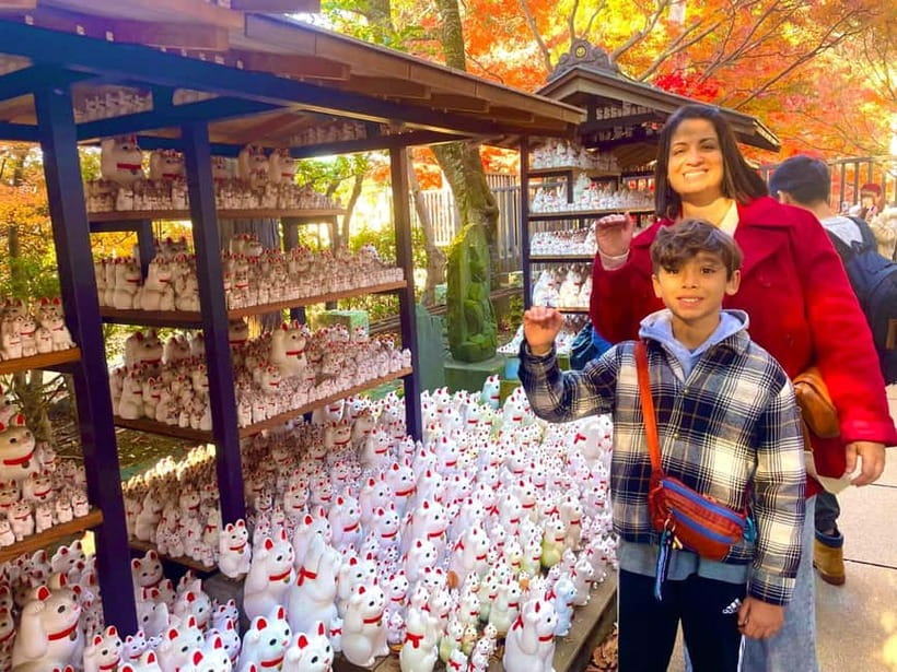 Tokyo: Gotokuji Cat Temple, Shinjuku Cat Cafe & 3D Cat Tour - Key points at a glance