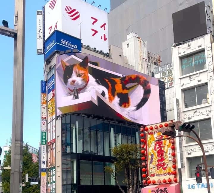 Tokyo: Gotokuji Cat Temple, Shinjuku Cat Cafe & 3D Cat Tour - Gotokuji Temple and its thousands of lucky cats