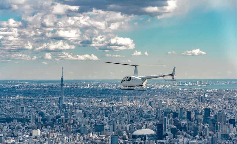 Tokyo: Guided Helicopter Ride - The price makes sense for three, not so much for one