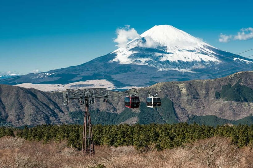 Tokyo: Hakone Fuji Day Tour w/ Cruise, Cable Car, Volcano - Coaches, meeting points, and the shape of the day