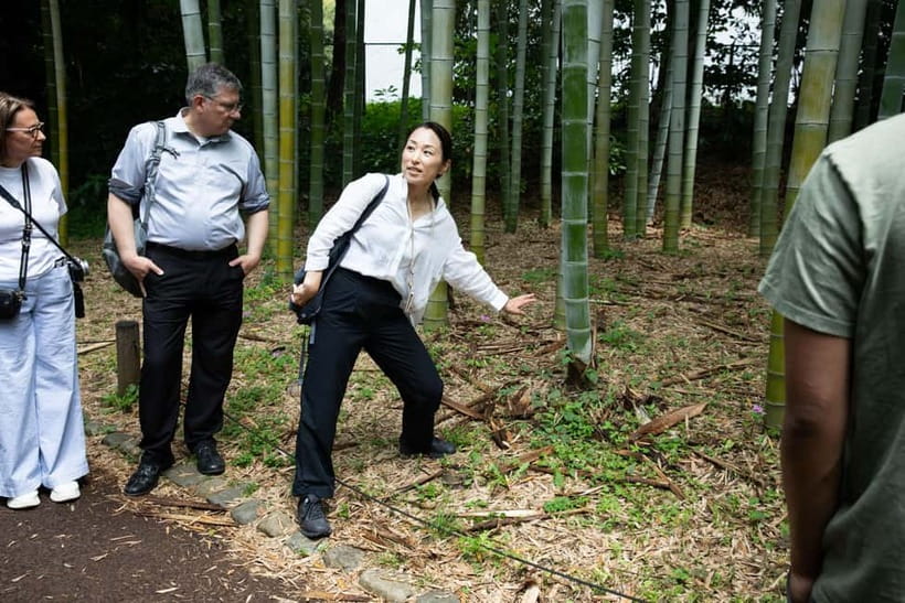 Tokyo: Imperial Palace East Gardens Walking Tour - Who should book this walk?