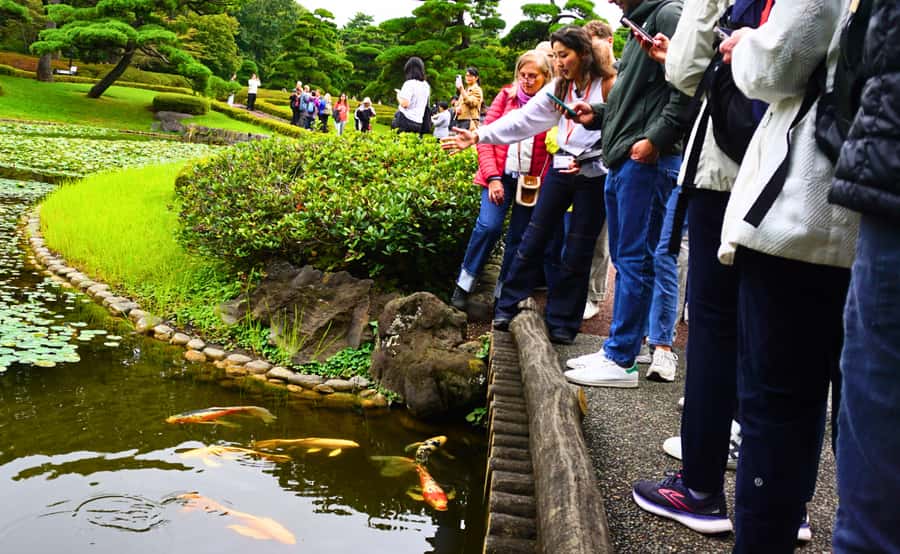 Tokyo: Imperial Palace Japanese History Walking Tour - Why Edo Castle Makes a Good Introduction to Tokyo