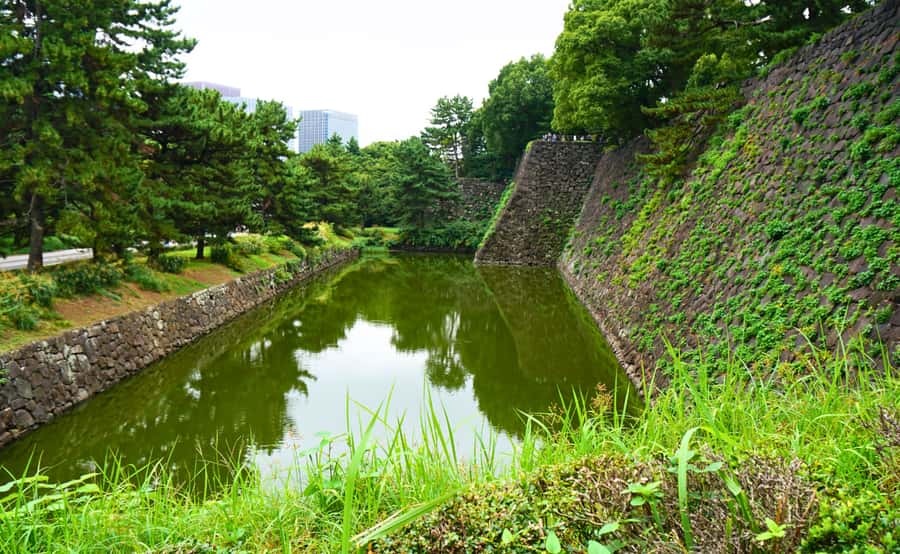 Tokyo: Imperial Palace Japanese History Walking Tour - Who Should Book This Walk