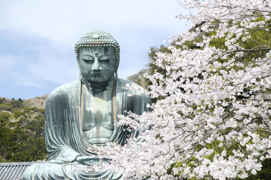 Tokyo: Kamakura & Enoshima Day Tour with Pickup & Train Ride - The self-guided format and language limits
