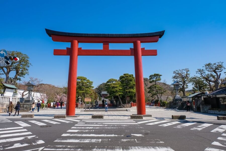 Tokyo: Kamakura & Enoshima Day Trip including Temple Tickets - Is $58 good value?