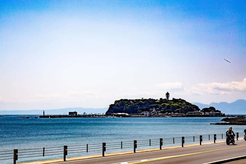 Tokyo: Kamakura & Enoshima Day Trip including Temple Tickets - Komachi Street: one hour for food and shopping
