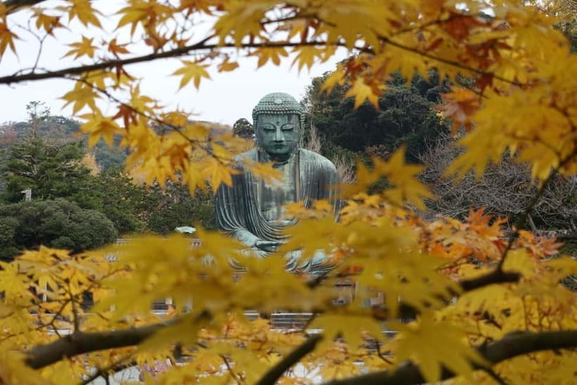 Tokyo: Kamakura & Enoshima Day Trip including Temple Tickets - Enoshima shifts the day toward the sea