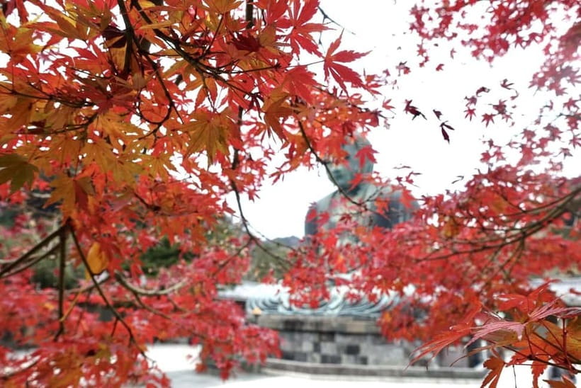 Tokyo: Kamakura & Enoshima Day Trip including Temple Tickets - Guides, languages, and the pace of the day