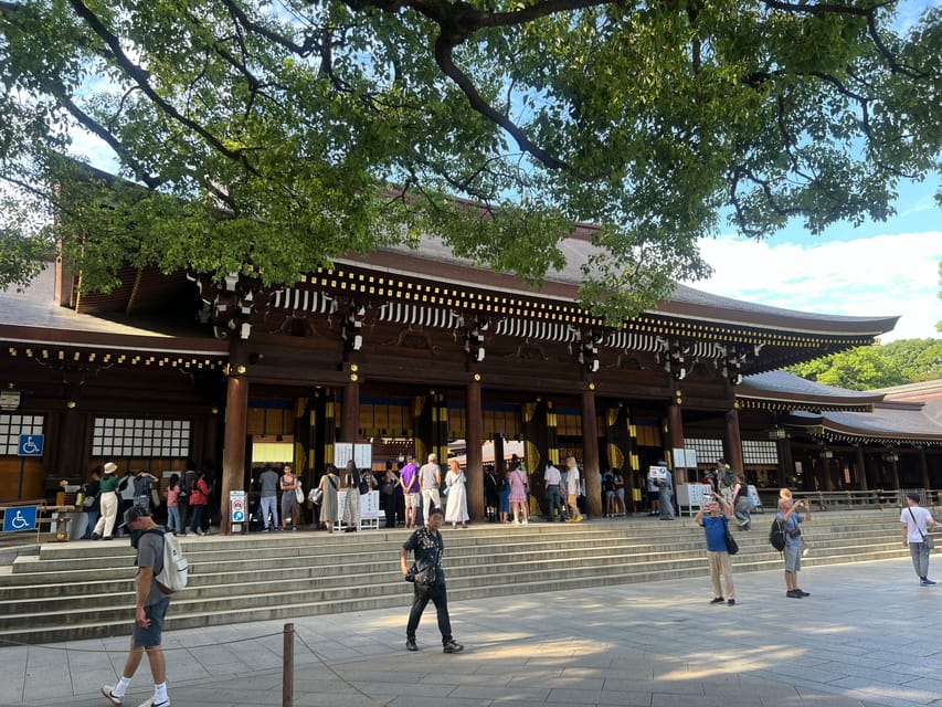 Tokyo: Meiji Jingu Shrine and Shinto Culture Walking Tour - Why the $19 price can make sense