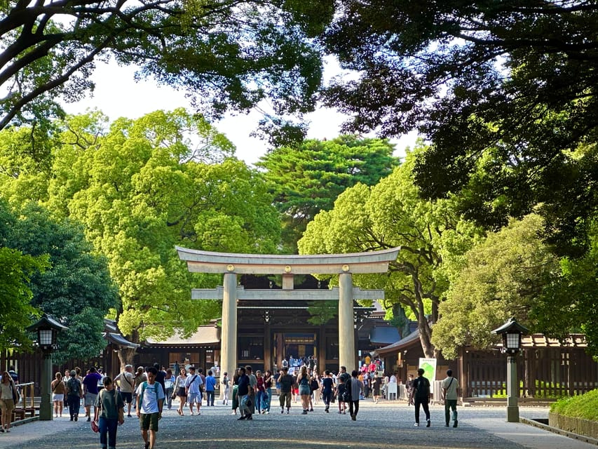 Tokyo: Meiji Jingu Shrine and Shinto Culture Walking Tour - Who will get the most from this walk