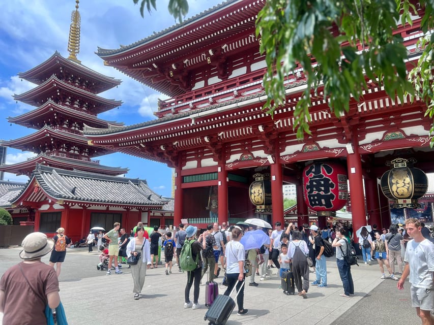 Tokyo: Meiji Jingu Shrine and Shinto Culture Walking Tour - Sake barrels and wine barrels: two useful visual lessons