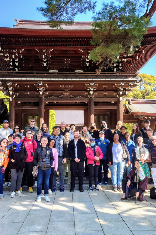 Tokyo: Meiji Shrine, Asakusa, Skytree Bus Tour and Cruise - From Akihabara to Kappa-Bashi