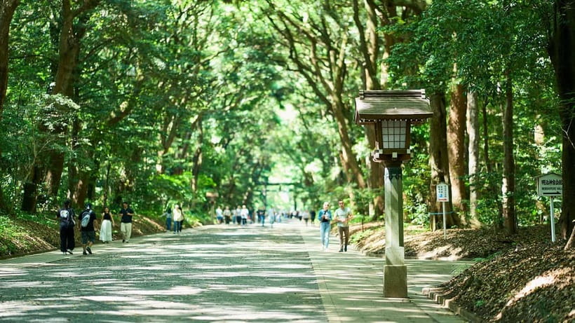 Tokyo: Meiji Shrine Walking Tour — Shinto & Imperial System - Passing beneath the great torii respectfully