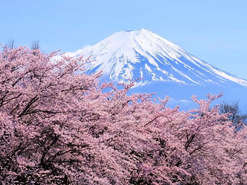 Tokyo: Mt. Fuji 5th Station & Hakone Cruise 1-Day Bus Tour - Buffet lunch and the Japanese garden stop