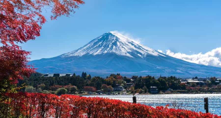 Tokyo: Mt. Fuji 5th Station, Kawaguchiko Tour w/ Cable Car - The guide makes the difference