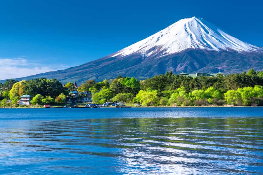 Tokyo: Mt. Fuji 5th Station, Kawaguchiko Tour w/ Cable Car - Weather, traffic, and the long ride back