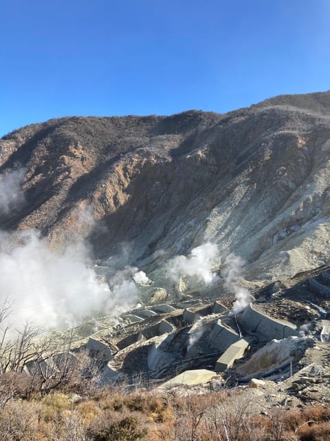 Tokyo: Mt. Fuji and Hakone Tour with Cable Car and Cruise - The long ride back and your choice of drop-off