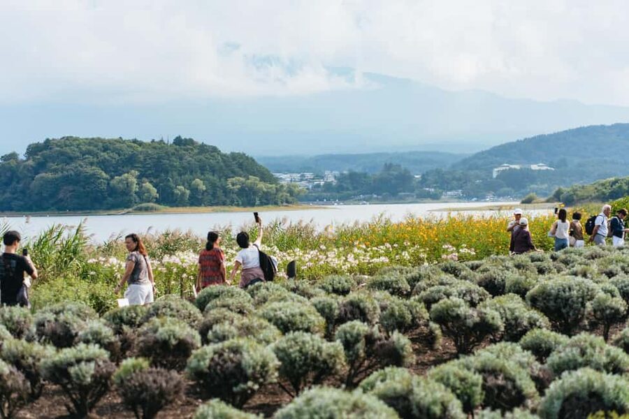 Tokyo: Mt. Fuji, Kamakura, Big Buddha, & Lake Ashi Day Trip - The $49 price and what you get
