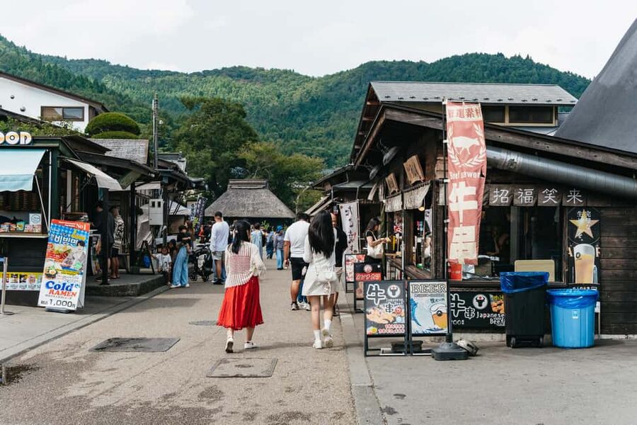 Tokyo: Mt. Fuji, Kamakura, Big Buddha, & Lake Ashi Day Trip - The guide can shape the whole day