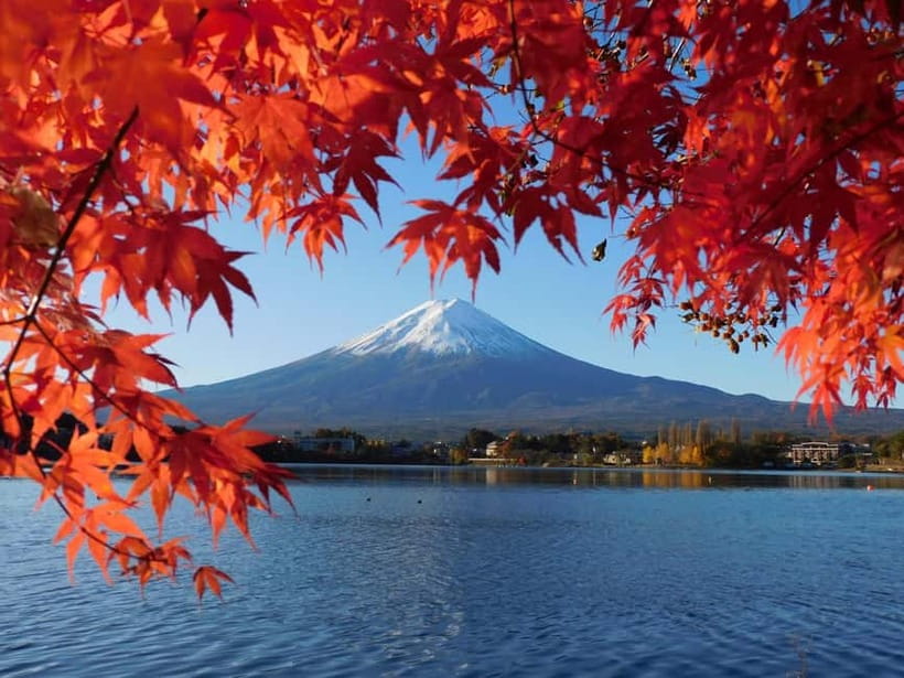 Tokyo:Mt.Fuji,Kawaguchiko Oishi Park,Arakurayama Sengen Park - Why This Day Trip Works From Tokyo