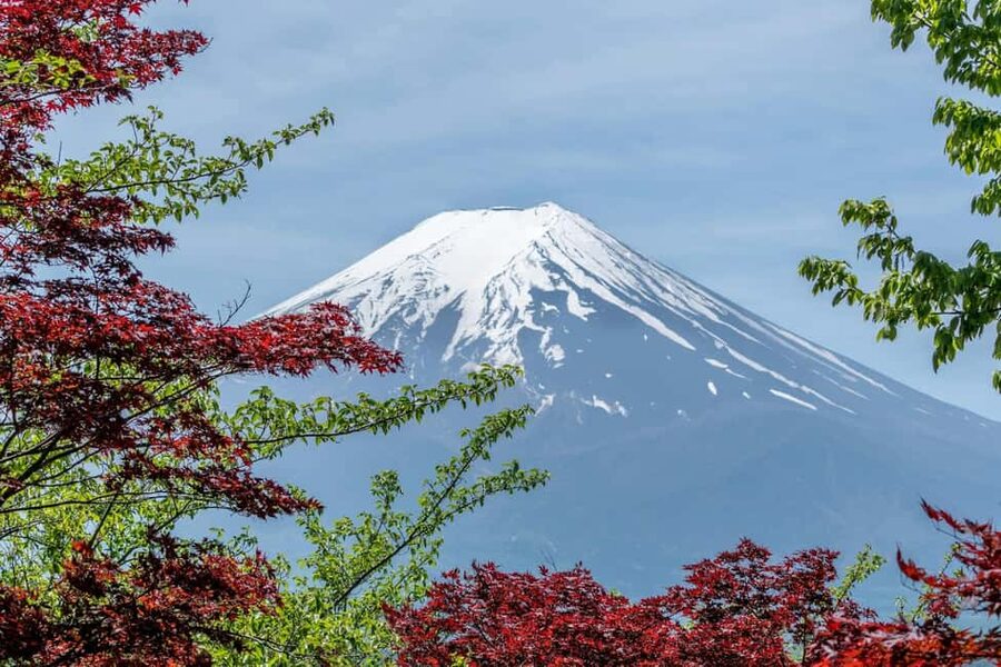 Tokyo: Mt. Fuji & Lake Kawaguchi Private Tour with Transfer - Chureito Pagoda: the classic Fuji photograph
