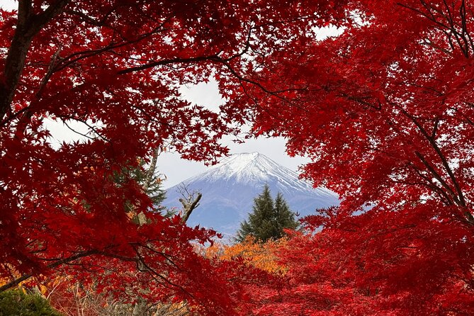 Tokyo: Mt.Fuji & Lake Kawaguchiko 1-Day Bus Tour w/Optional Lunch - Chureito Pagoda and the 398-step climb