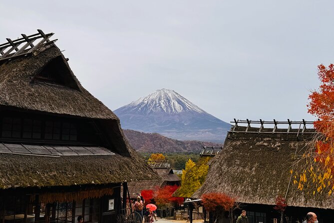 Tokyo: Mt.Fuji & Lake Kawaguchiko 1-Day Bus Tour w/Optional Lunch - Who should book this day trip
