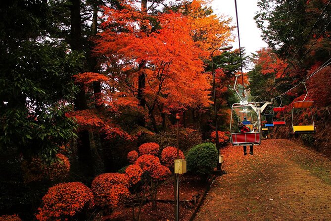 Tokyo: Mt Takao Tour with Ramen and Tattoo-Okay Hot Spring - Key points about the Mt. Takao day