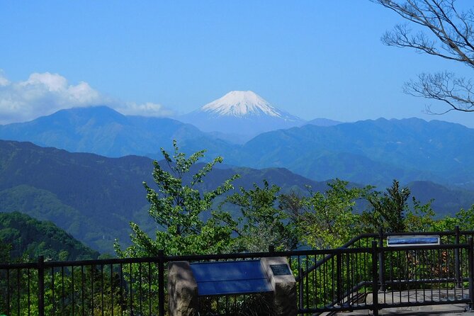 Tokyo: Mt Takao Tour with Ramen and Tattoo-Okay Hot Spring - Leaving central Tokyo for Mt. Takao