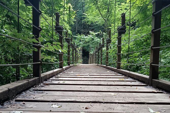 Tokyo: Mt Takao Tour with Ramen and Tattoo-Okay Hot Spring - Walking toward the summit and Mt. Fuji