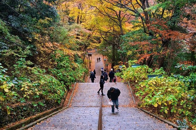 Tokyo: Mt Takao Tour with Ramen and Tattoo-Okay Hot Spring - Riding to a tattoo-friendly hot spring