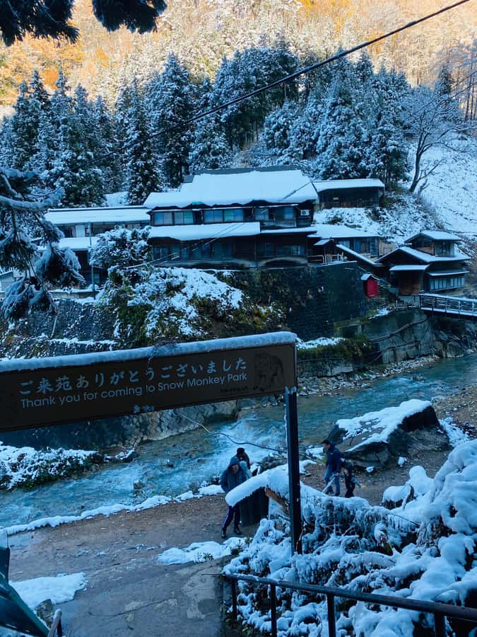 Tokyo/Nagano: private Tour with Snow Monkey Park & Temples - Key points at a glance