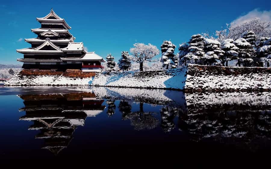 Tokyo/Nagano: private Tour with Snow Monkey Park & Temples - The main drawback: Tokyo to Nagano takes time
