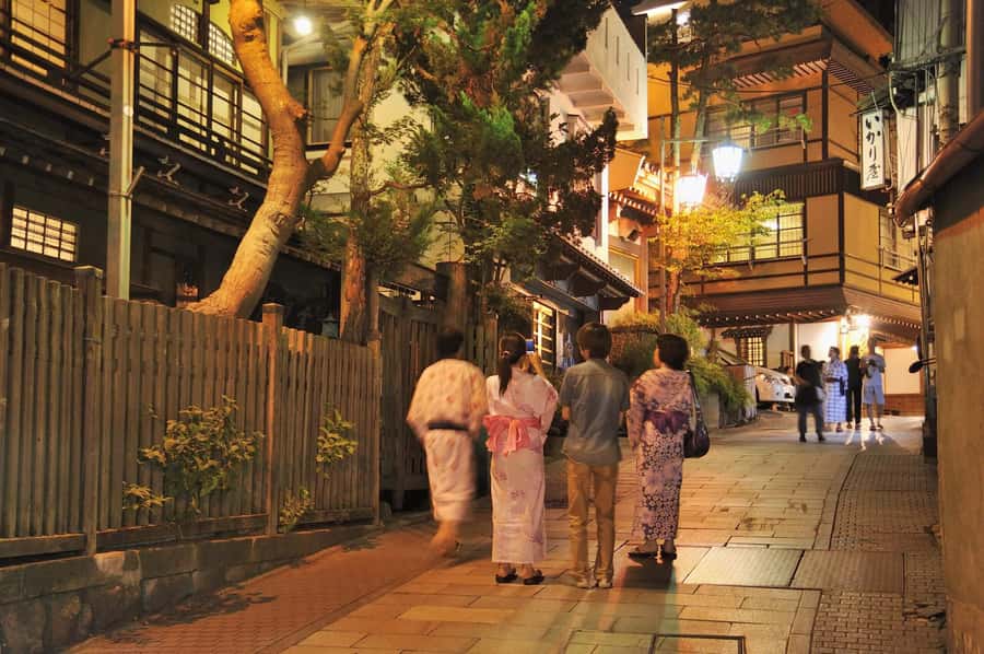 Tokyo/Nagano: private Tour with Snow Monkey Park & Temples - What is and is not included