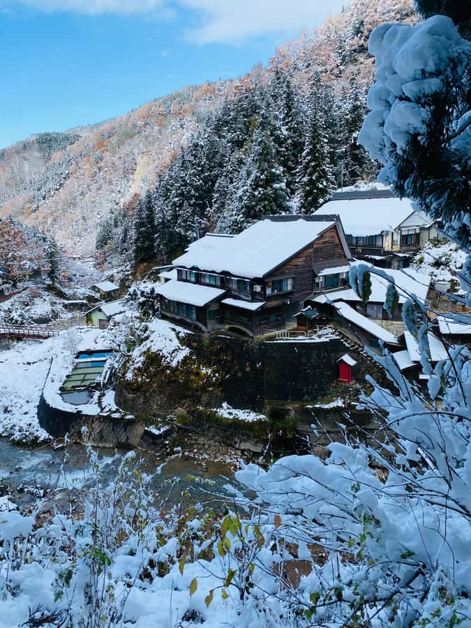 Tokyo/Nagano: private Tour with Snow Monkey Park & Temples - Zenkoji Temple brings a quieter change of pace