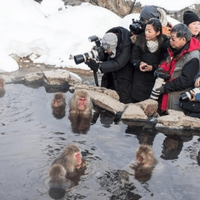 Tokyo: Nagano Snow Monkeys and Zenkoji Tour with Temples - Key points before you book