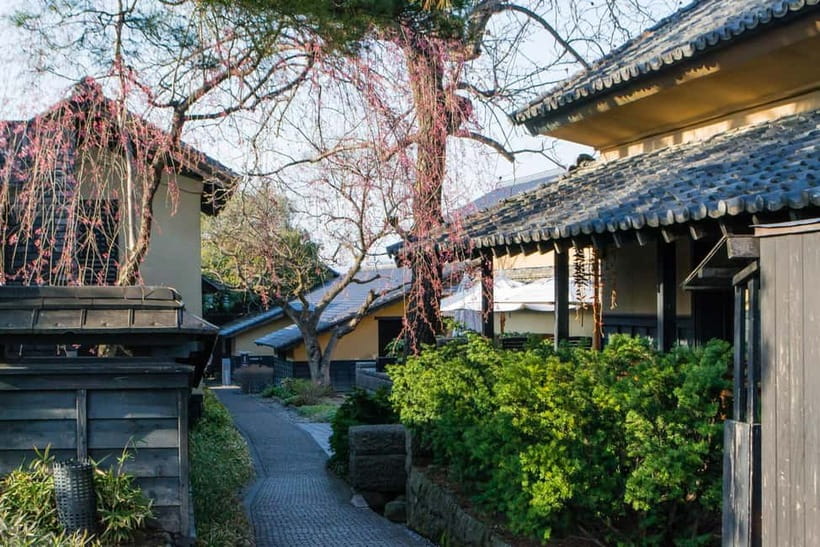 Tokyo: Nagano Snow Monkeys and Zenkoji Tour with Temples - Accessibility, children, and group size