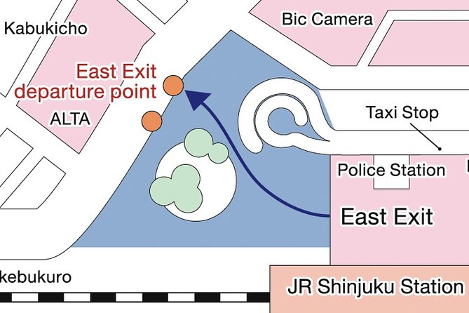 Tokyo Panoramic 1 Day: Meiji Shrine, Asakusa, Odaiba and SKYTREE® - Imperial Palace views and the Nijubashi Bridge
