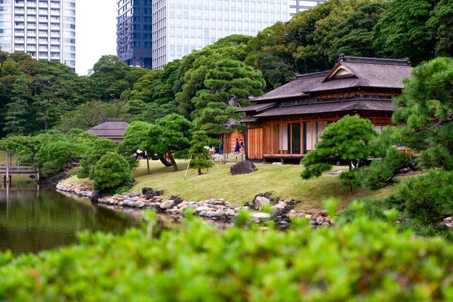 Tokyo: Personalized Private 6-Hour Tour - Key points to know before booking