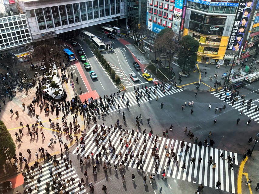 Tokyo: Personalized Private 6-Hour Tour - What the guide adds to the experience