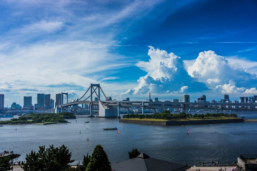 Tokyo: Personalized Private 6-Hour Tour - Meiji Shrine and Harajuku: quiet forest, youthful style