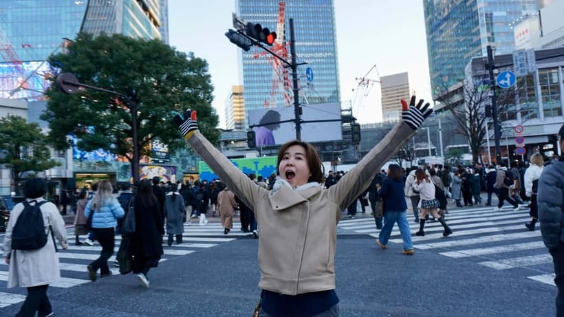 Tokyo: Pre Japan Planning Kit: Itineraries, Food & Survival - What Shinjuku adds to the plan