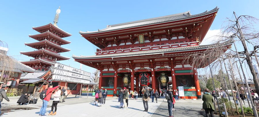 Tokyo: Private City Highlights Tour with Local Guide - Meiji Jingu, Harajuku, and Takeshita Street