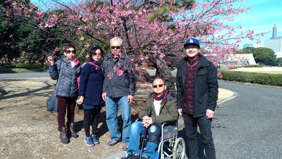 Tokyo: Private City Highlights Tour with Local Guide - Akihabara, Nezu, and Hama Rikyu Gardens