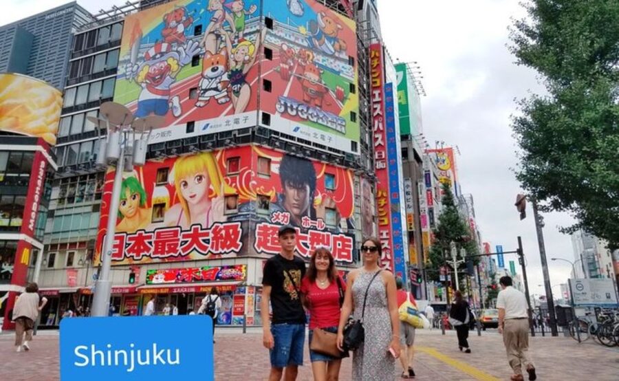 Tokyo: Private Custom Walking Tour with Local Guide - Learning the trains without feeling lost
