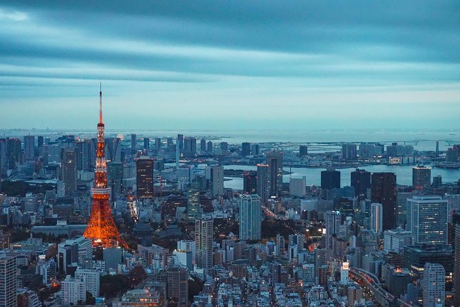 Tokyo Private Full-Day Tour by Car or Van - Imperial Palace East Gardens and Edo Castle ruins